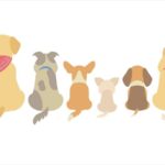 「順番」「順番に」って英語で言うと?