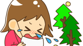 オンライン英会話Pinas Academy Pinaさんのブロ …